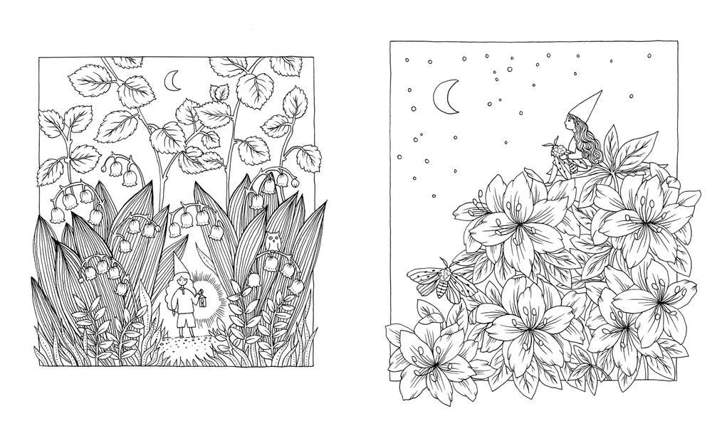 Gibbs Smith - Botanicum Coloring Book