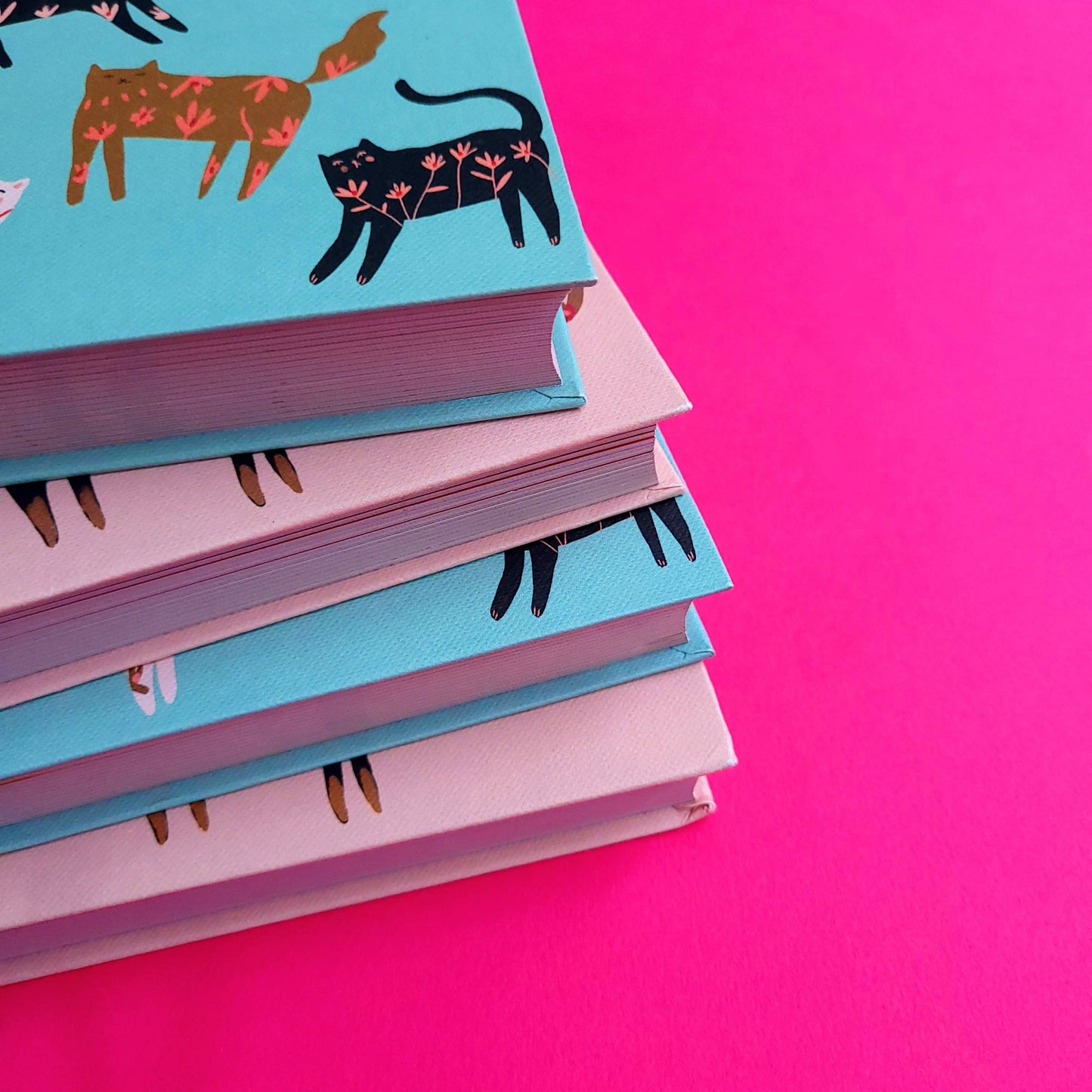 Roger La Borde - Cinnamon Cats Illustrated journal  - AS 051