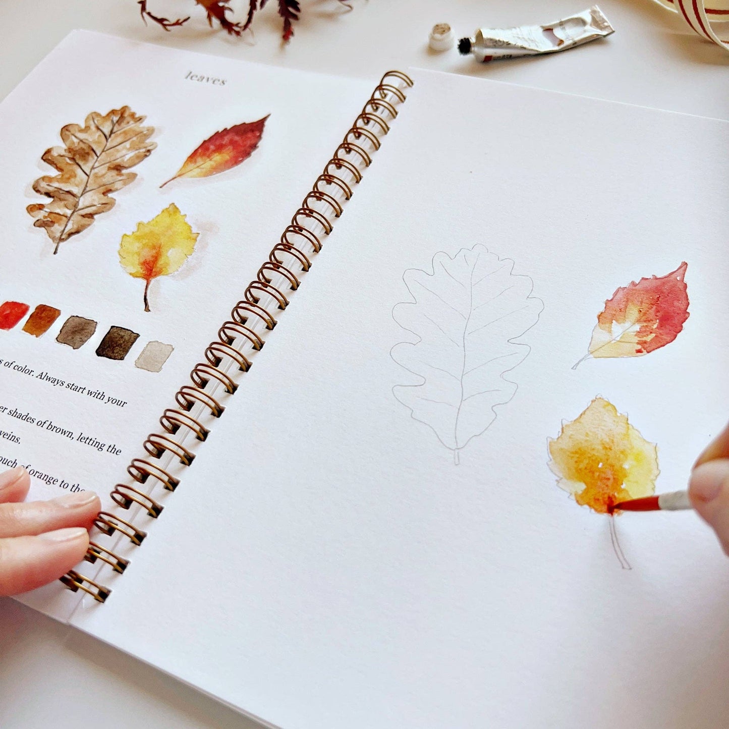 emily lex studio - Autumn watercolor workbook presale