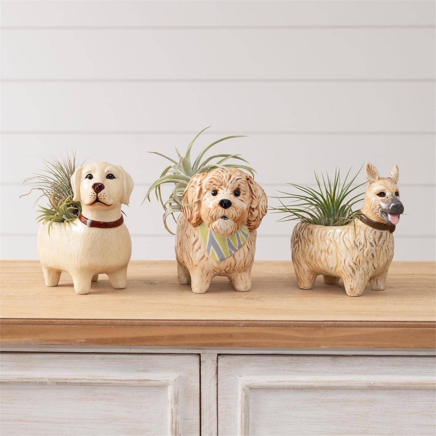 Audrey's Home & Gift - Bud vases - Doggies (Pk/03 Ast)