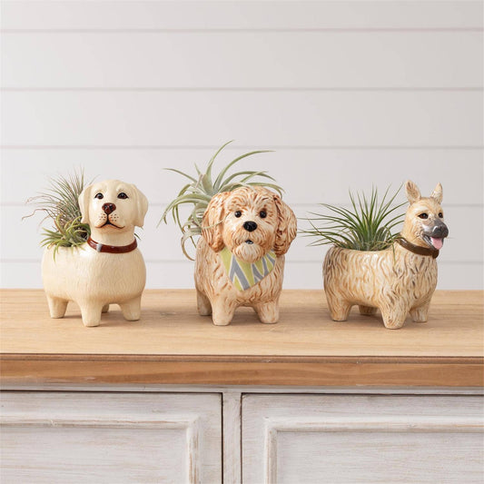 Audrey's Home & Gift - Bud vases - Doggies (Pk/03 Ast)