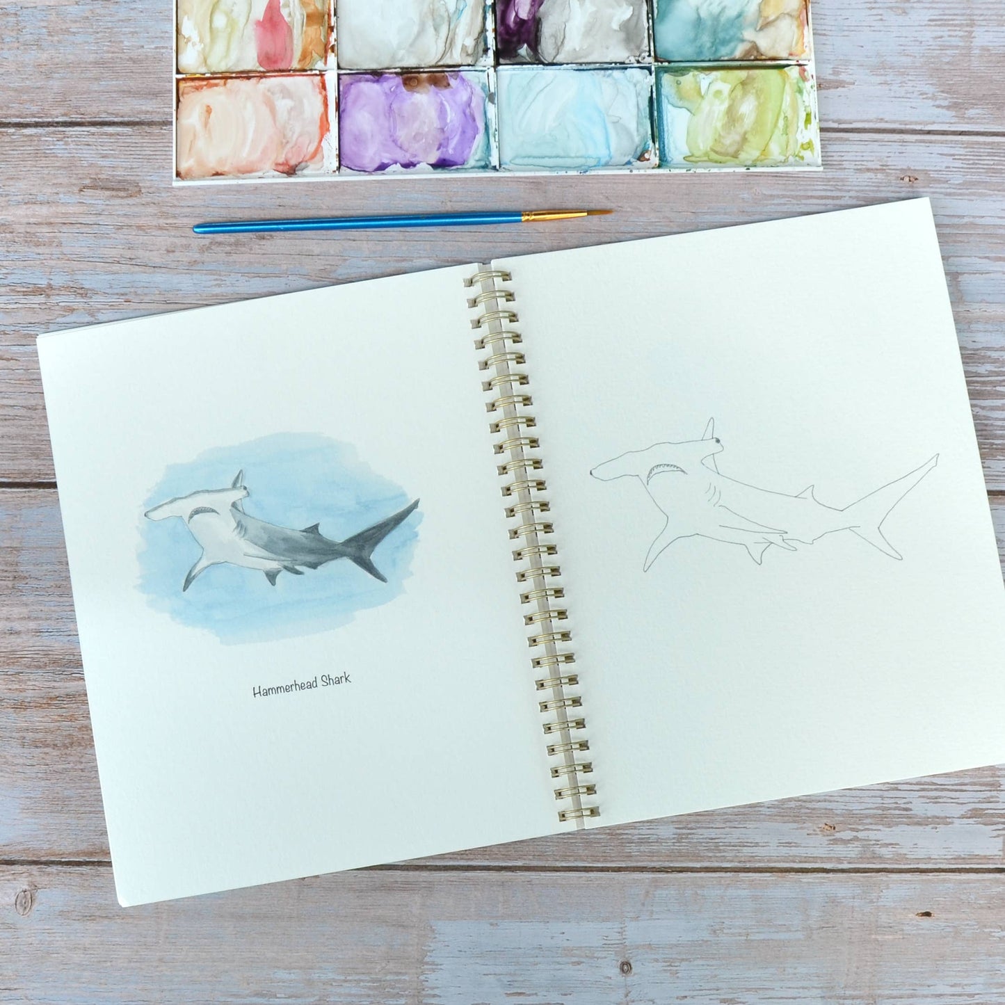LKA Fine Art - Watercolor workbook, Shark themed Watercoloring book