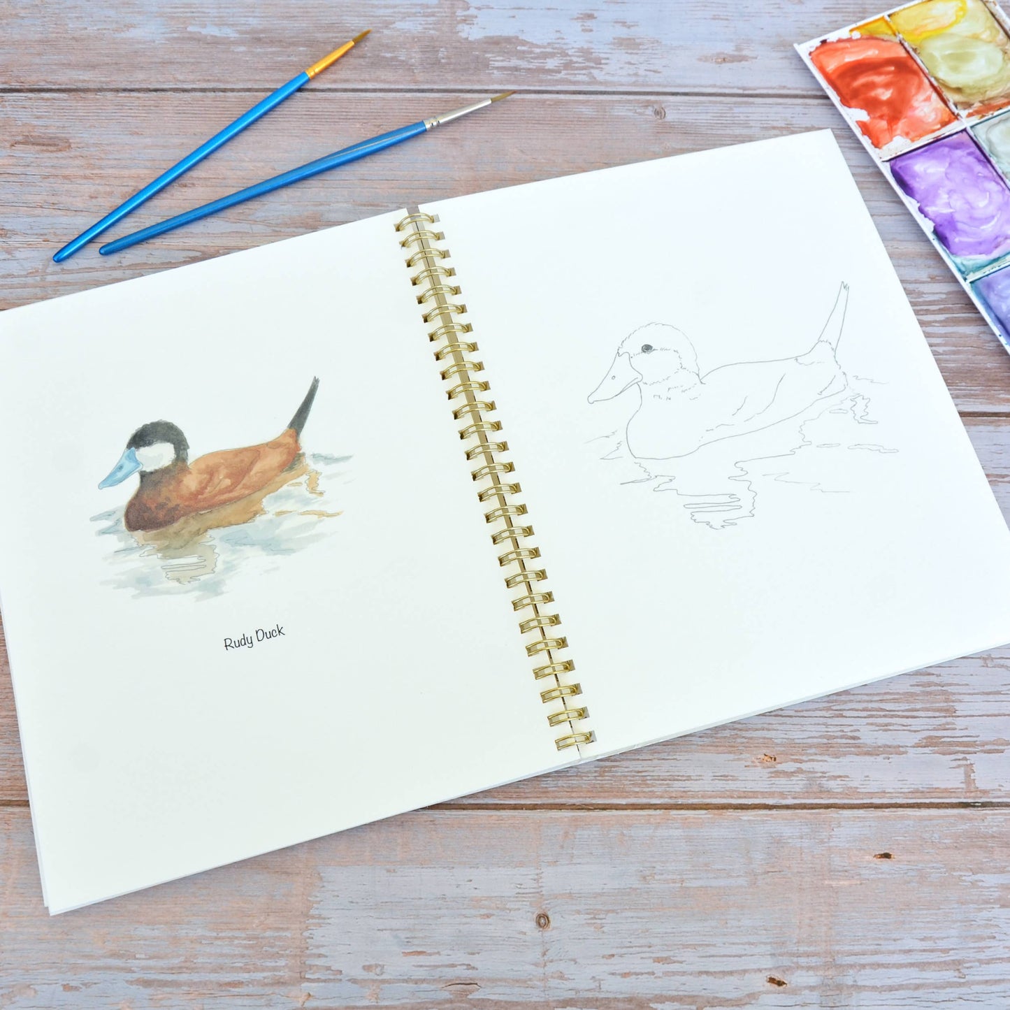 LKA Fine Art - Watercolor workbook, Water Birds Themed Watercoloring book