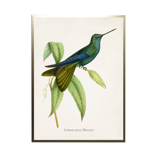 Antique Curiosities Inc - Hummingbird On Leaves With Flowers: Silver Frame 1390-70 Qq / 10" X 8"