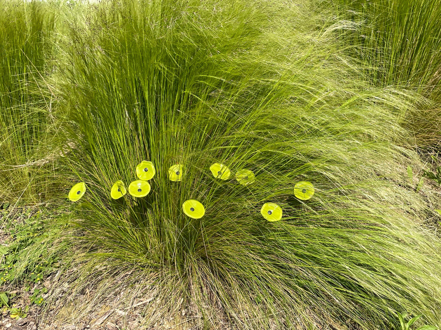 CARNEOL GLASS - Small Glass Flower For Inside In Applegreen