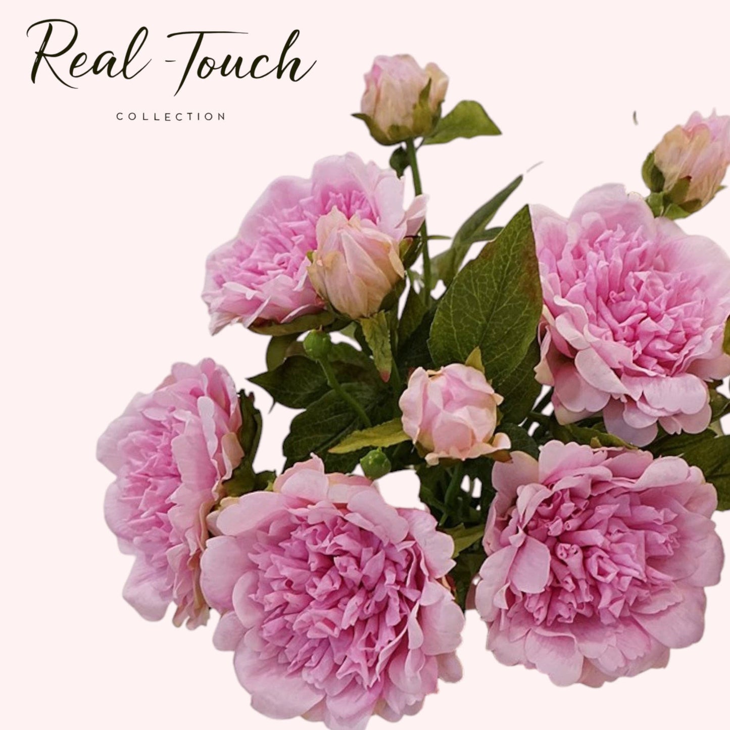 Angel Isabella - 25.5"- Real Touch Peony Stem-2 Blooms: Hot Pink