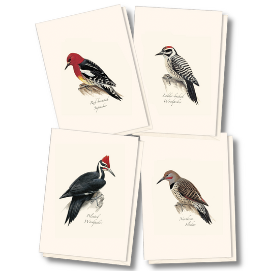 Earth Sky + Water - Peterson W. Woodpecker Asst.