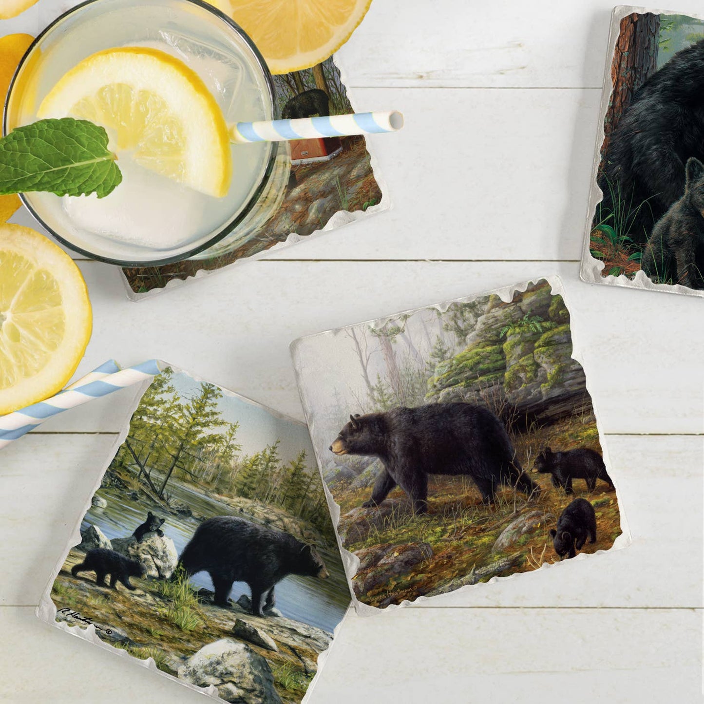 CounterArt/Highland Home/Thirstystone - Keeping Watch Assorted Image Tumbled Tile Coaster 4 Pack