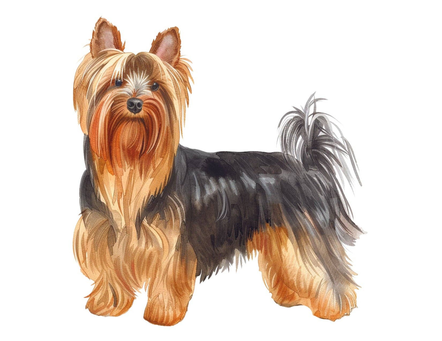 Bourbon & Bacon - Yorkshire Terrier Note Cards