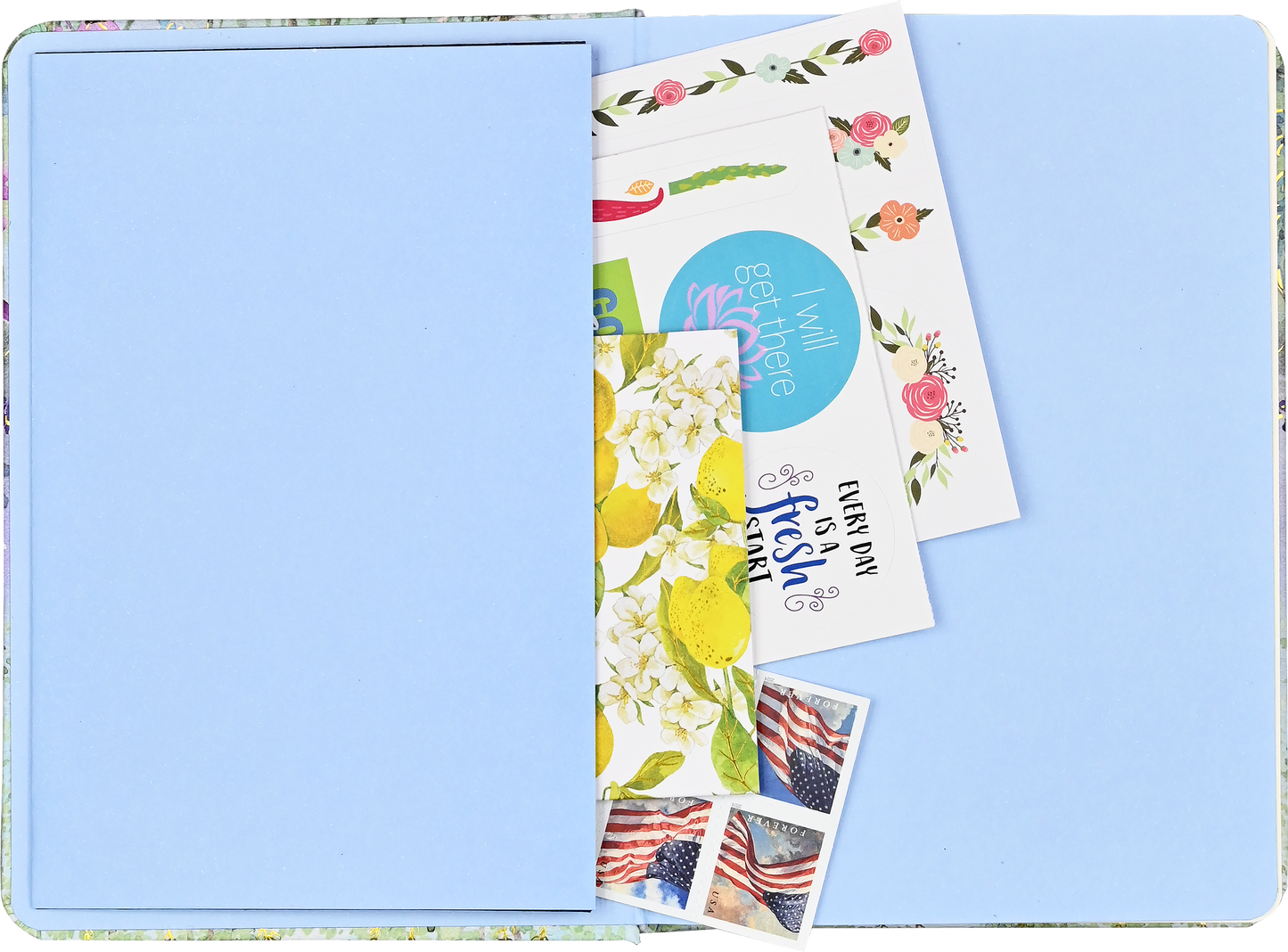 Peter Pauper Press - Dragonflies & Dandelions Journal
