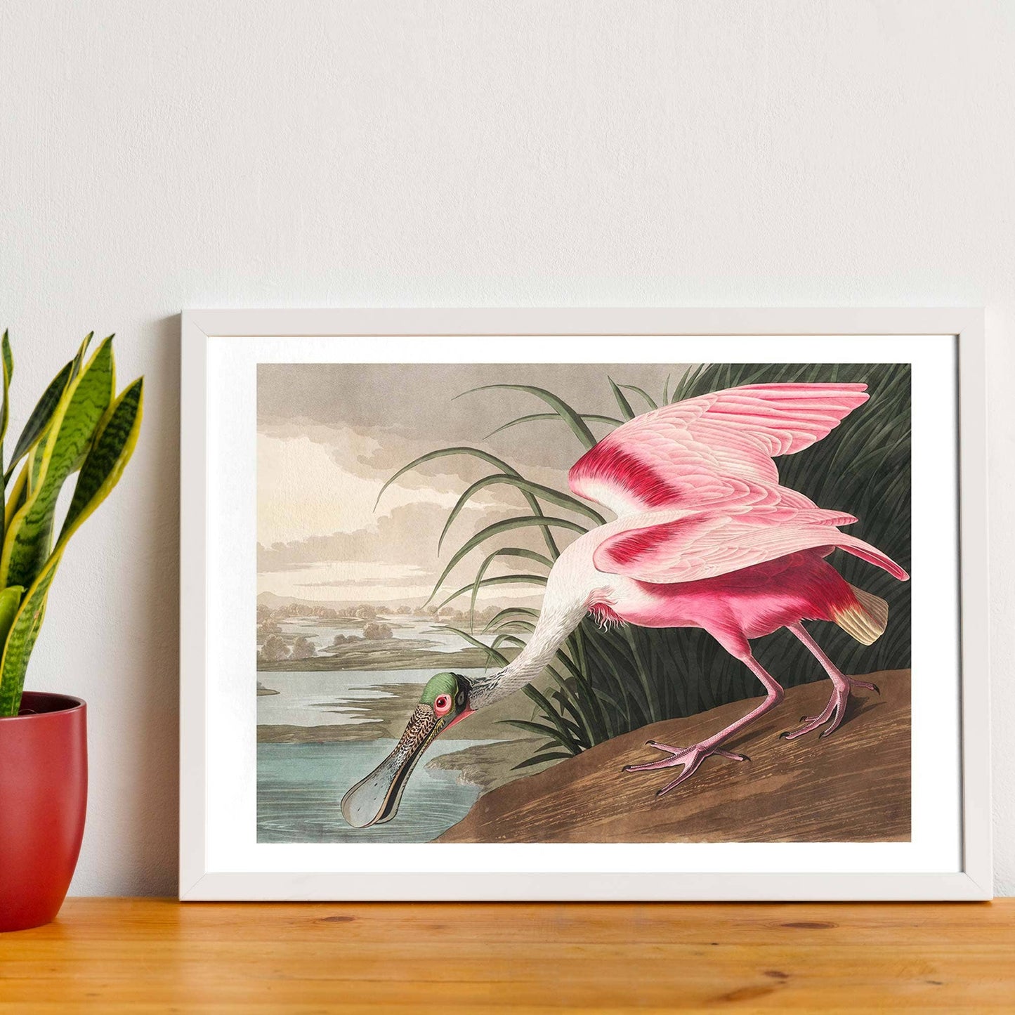 Ink & Drop - Spoonbill vintage print: 11 ¾ x 15 ¾ in | 30x40 cm / Matte