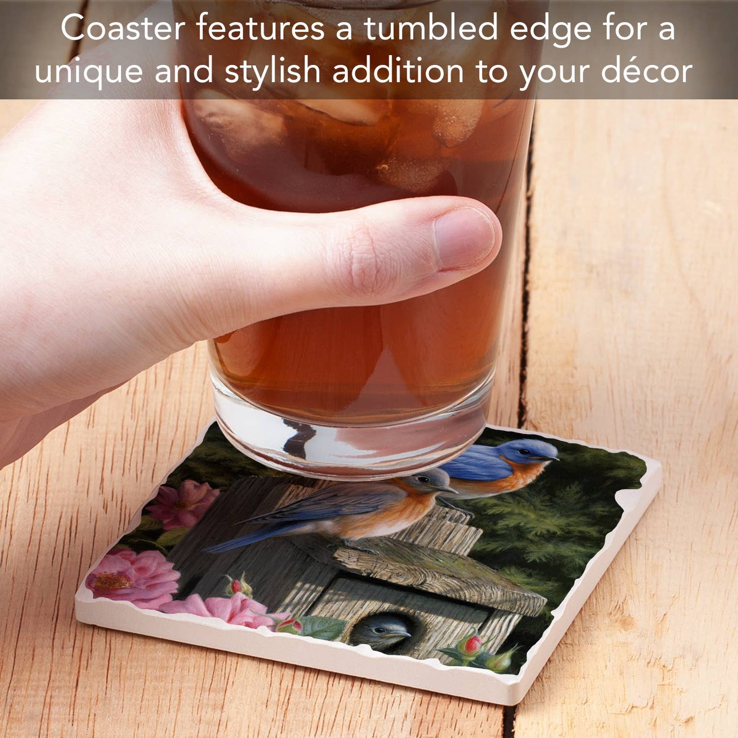 CounterArt/Highland Home/Thirstystone - Bluebirds #2 Single Absorbent Stone Tumbled Tile Coaster