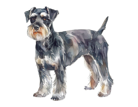 Bourbon & Bacon - Schnauzer, Miniature Note Cards