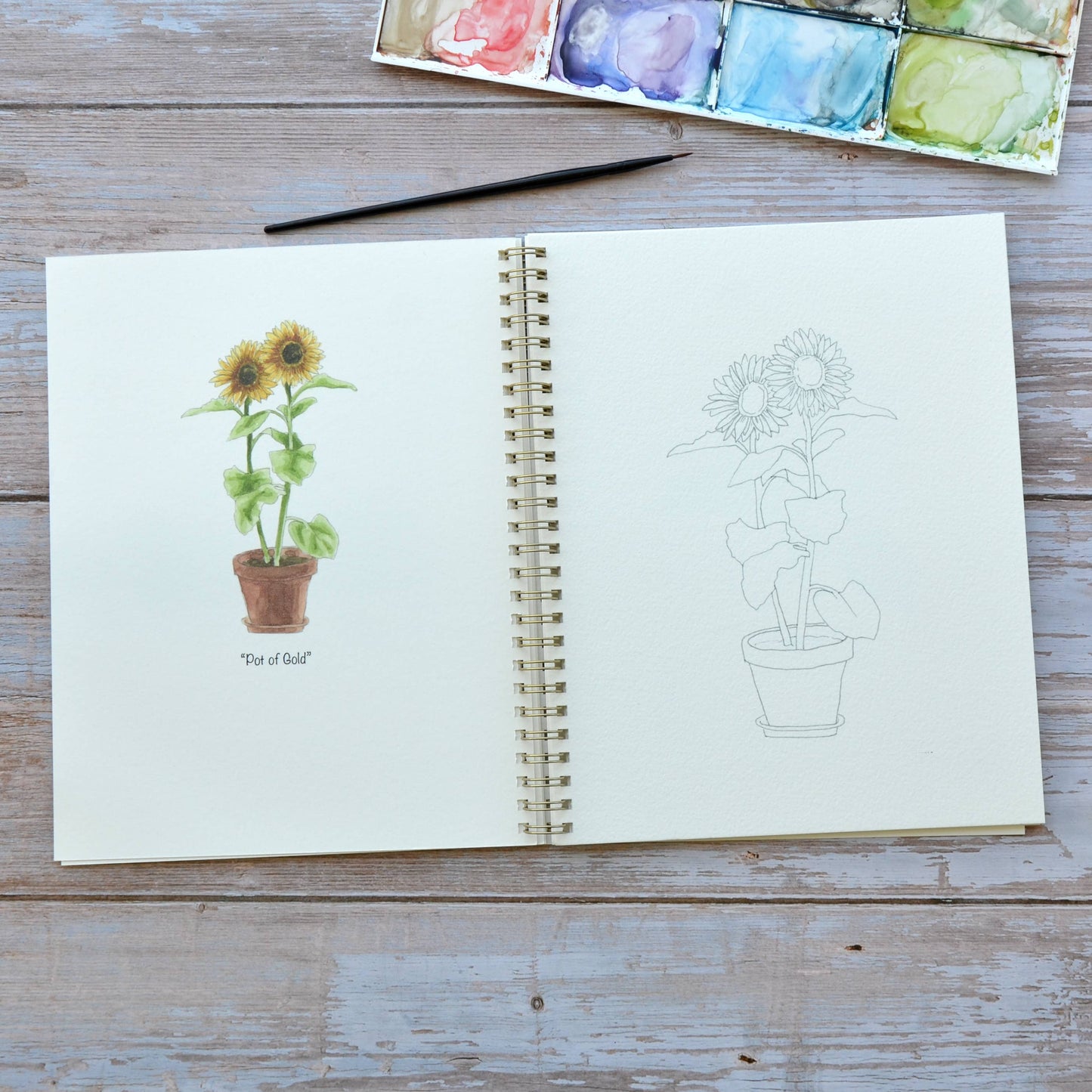 LKA Fine Art - Watercolor workbook, Sunflower Watercoloring book