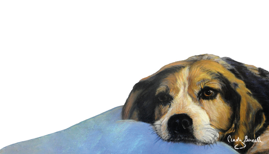 Forever Caroline LLC - Beagle Dog Tiny Cards | Pack of 60 "Love Notes"
