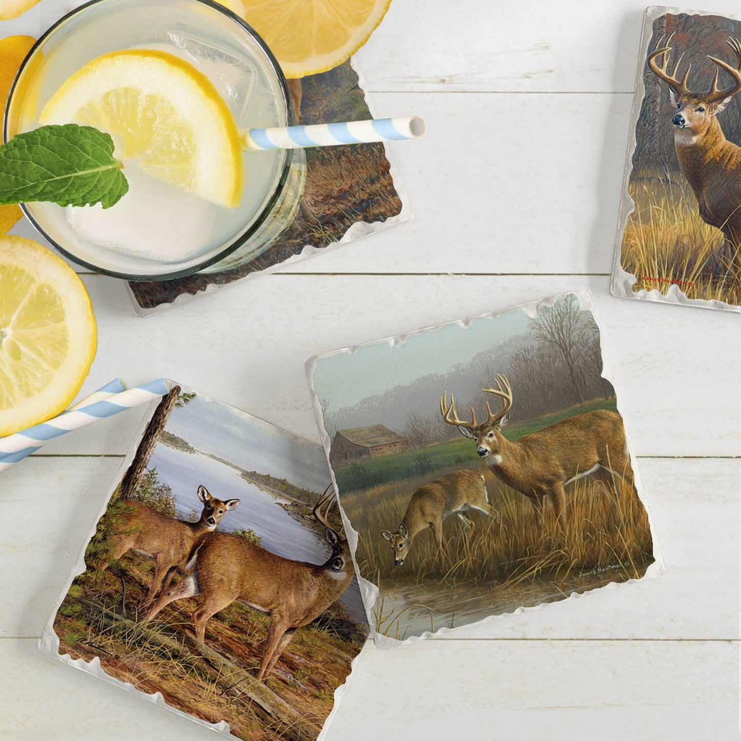 CounterArt/Highland Home/Thirstystone - Legends Assorted Image Tumbled Tile Coaster 4 Pack