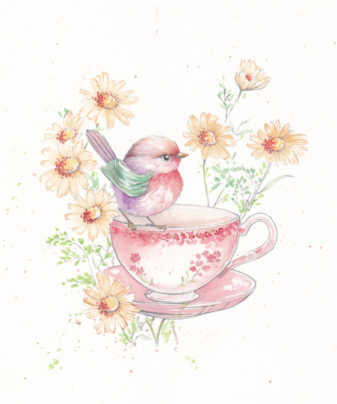 Willow Wolfe USA - Feathers & Finery Watercolor Workbook
