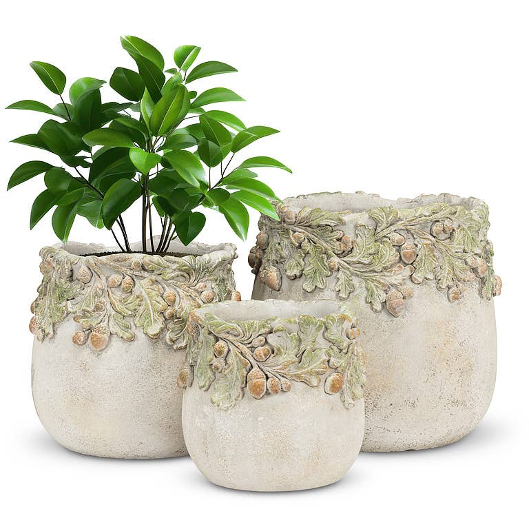 Abbott - Oak Leaves & Acorns Planter: Large