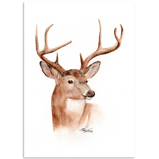 Moonlight & Grace - White-tailed Buck