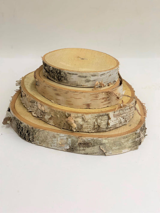 Winter Woods - 7" Birch Disk