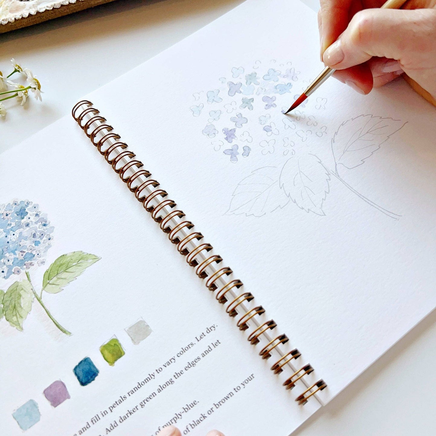 emily lex studio - Flowers watercolor workbook presale