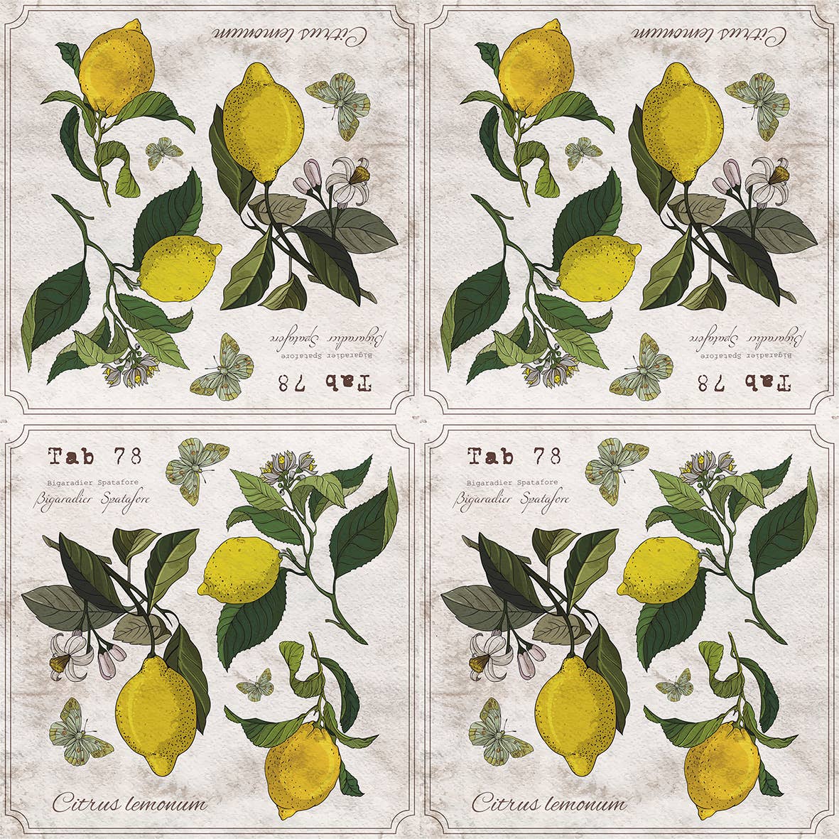 European Excellency - Lemon Botany Cocktail Napkins