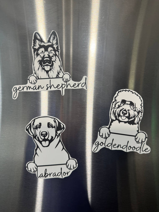 Boutique Unique - 🐶 Stick With Your Favorite Breed! 🐶: Boston Terrier