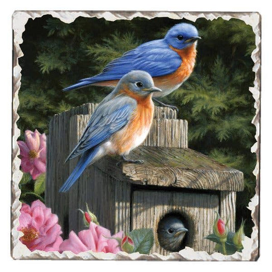 CounterArt/Highland Home/Thirstystone - Bluebirds #2 Single Absorbent Stone Tumbled Tile Coaster