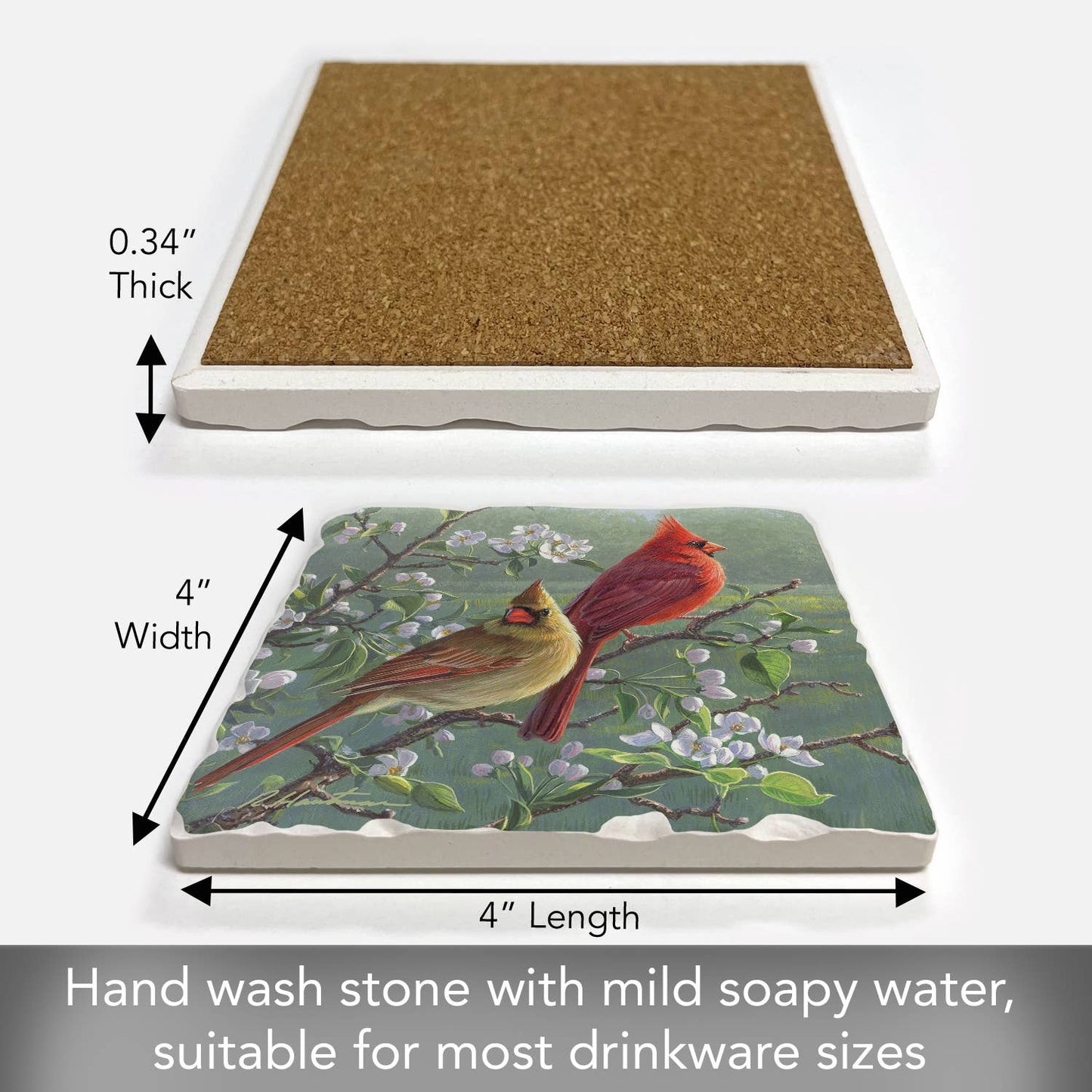 CounterArt/Highland Home/Thirstystone - Cardinals #1 Single Absorbent Stone Tumbled Tile Coaster