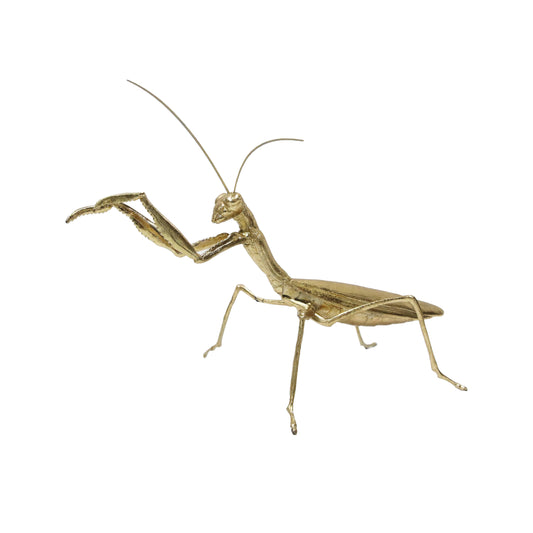 Modern World by Contrast Inc. - Golden Praying Mantis
