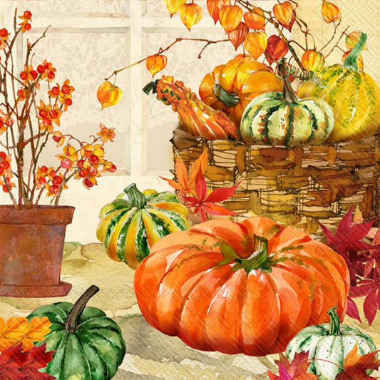 Boston International - Paper Cocktail Napkins Pack of 20 Heirloom Pumpkins Fall
