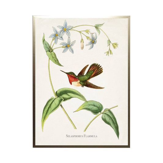 Antique Curiosities Inc - Hummingbird On Leaves With Flowers: Silver Frame 1390-70 Qq / 10" X 8"