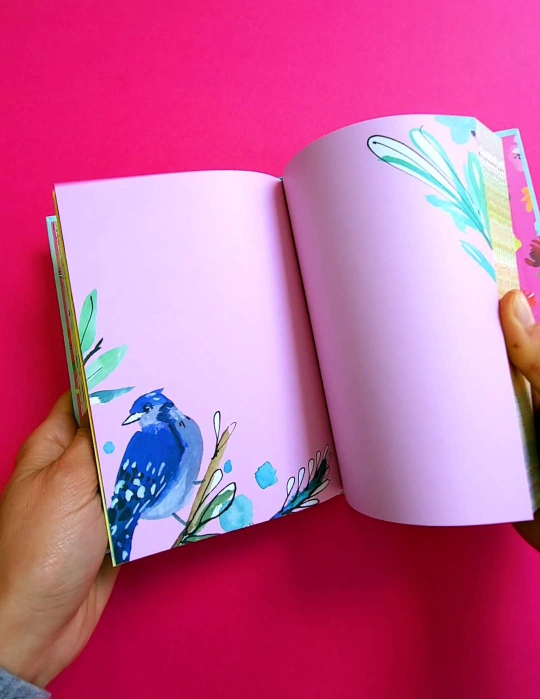 Roger La Borde - Bird Life Illustrated journal  - AS 053