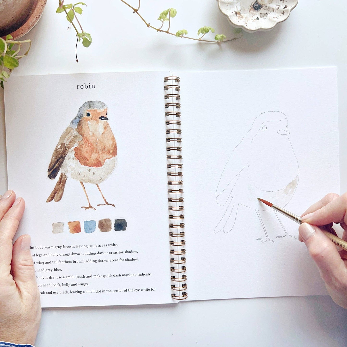 emily lex studio - Birds watercolor workbook presale