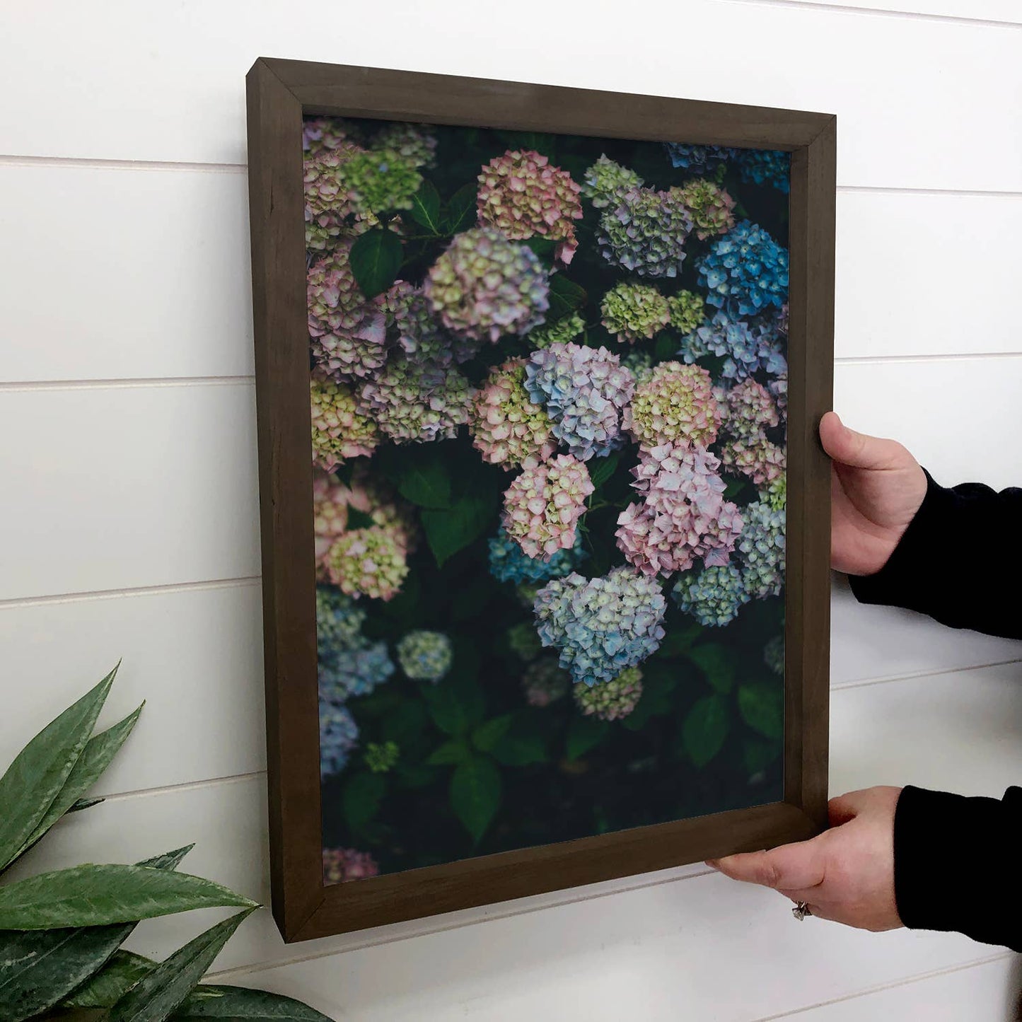Hangout Home - Midnight Hydrangeas Wall Art - Floral Photograph - Framed: 24x36" Extra Large Canvas Art with Thick Wood Frame