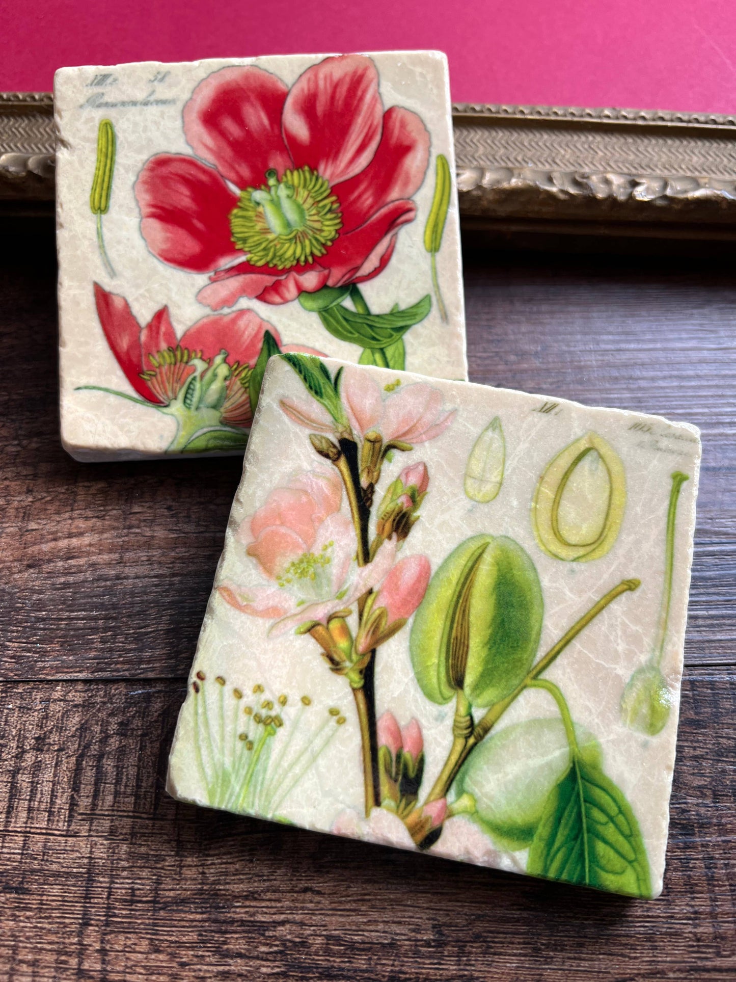The Painted Lily - Pretty Pink Botanicals stone coasters - case of 4