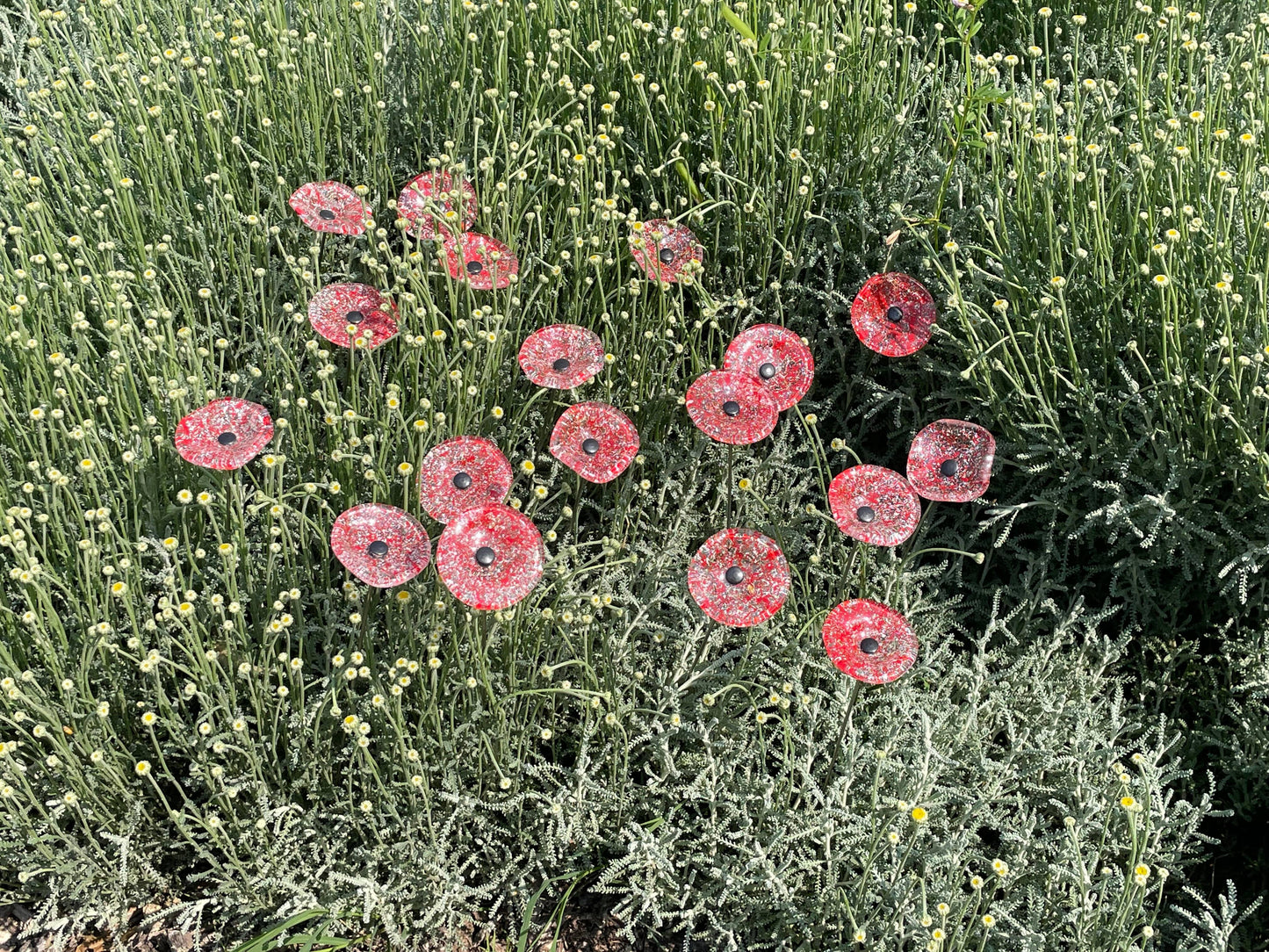 CARNEOL GLASS - Small Glass Flower For Inside In Transp.-White-Red