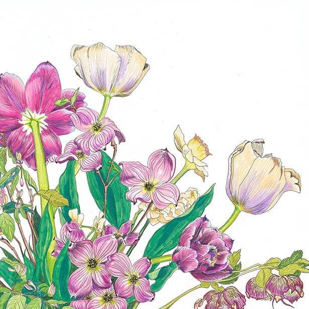 Vivid Cottage - Dogwood Delight - card