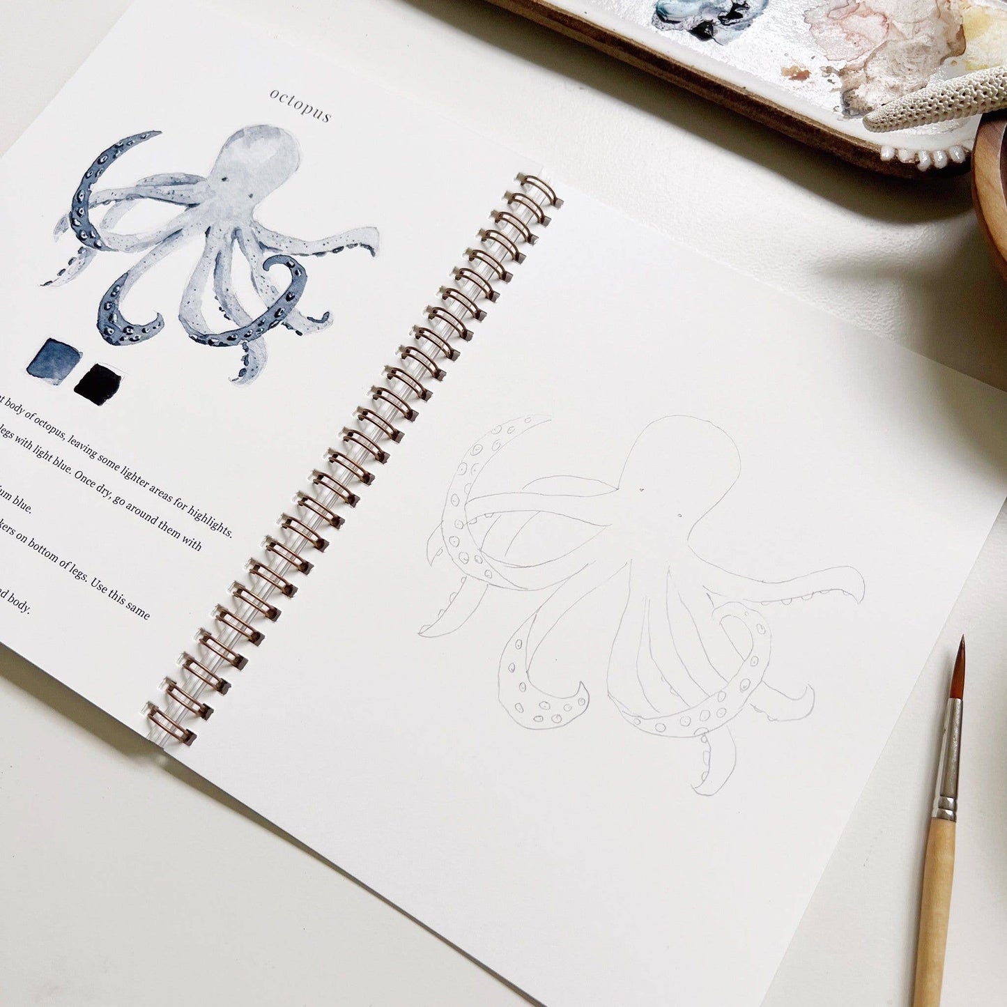 emily lex studio - Seaside watercolor workbook