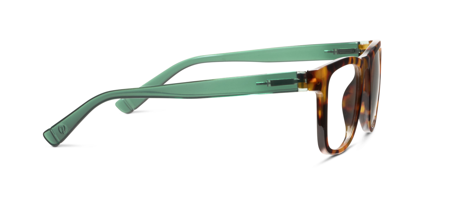 Peepers - Hall (Blue Light): Black/Cobalt Tortoise / Reading / 1.25
