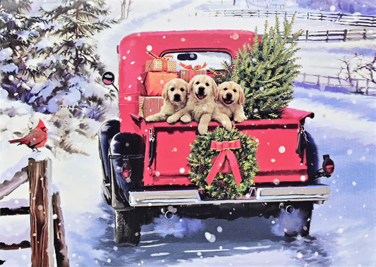 Peter Pauper Press - Bringing Home the Tree Deluxe Boxed Holiday Cards