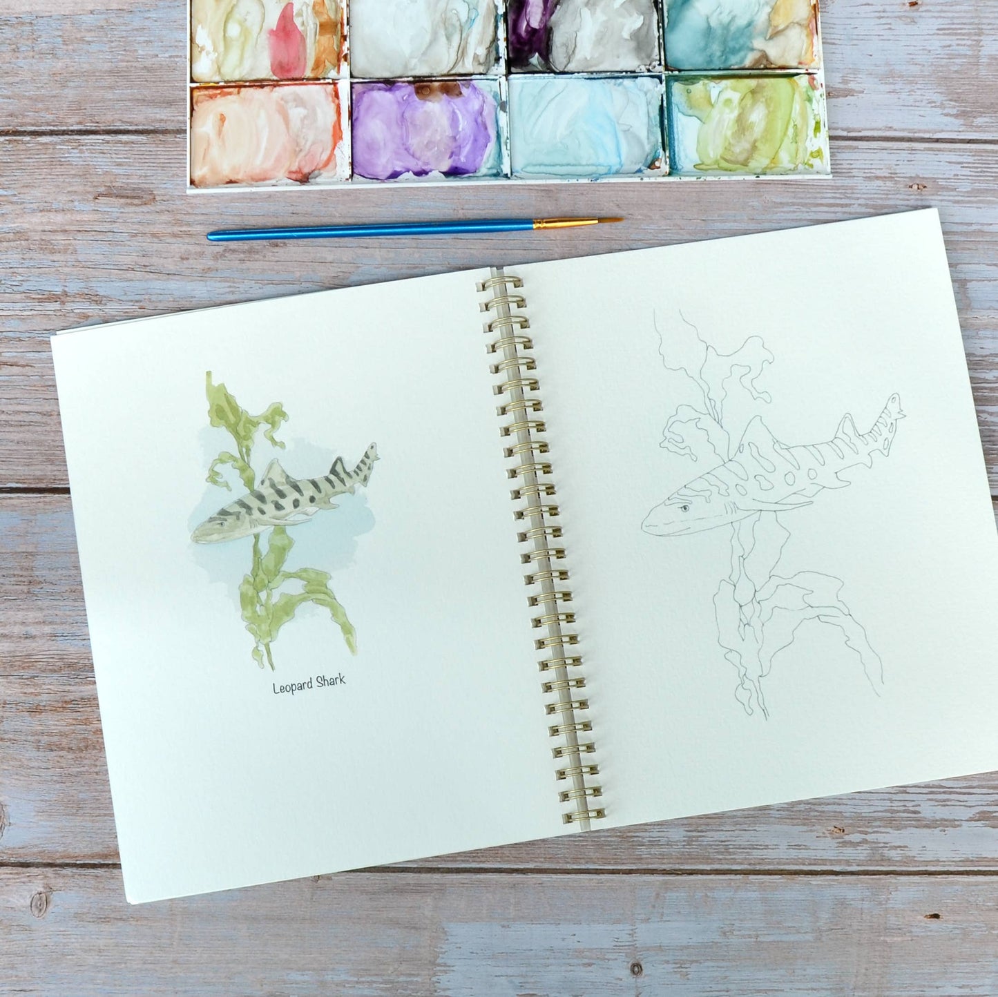 LKA Fine Art - Watercolor workbook, Shark themed Watercoloring book