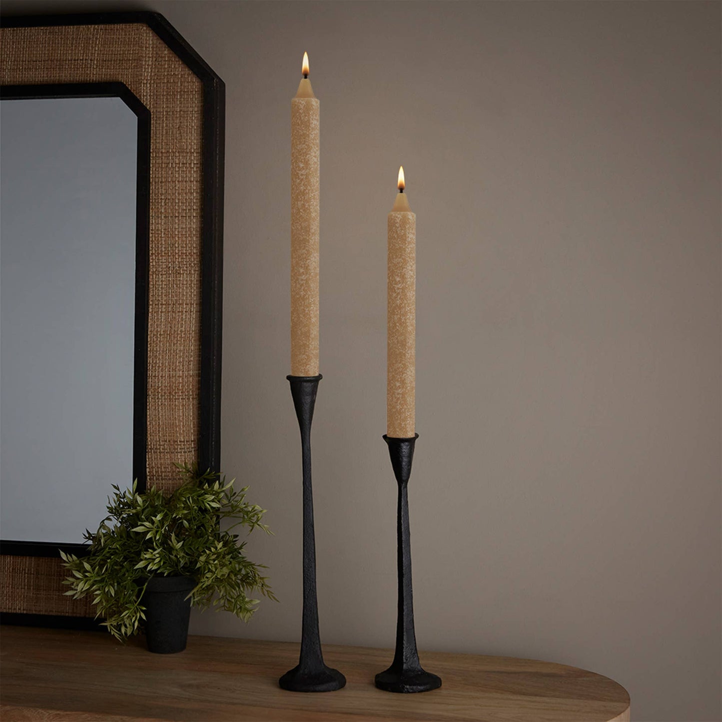 ROOT Candles - ROOT Timberline Arista Candles Box Of 12: Dark Green / 12 inch