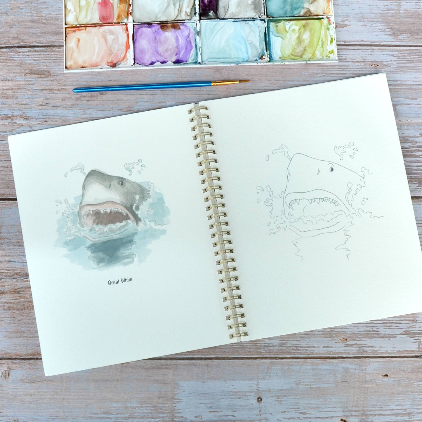 LKA Fine Art - Watercolor workbook, Shark themed Watercoloring book