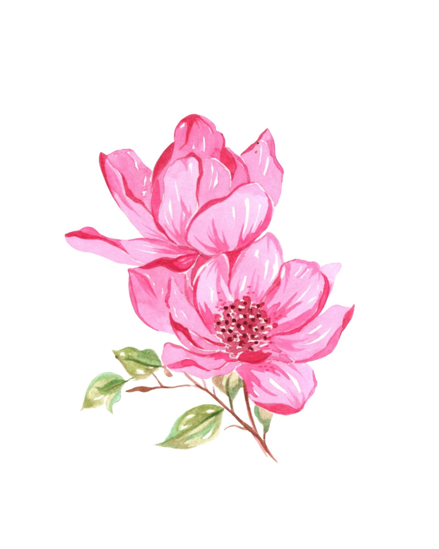 Willow Wolfe USA - Bold Flowers Watercolor Workbook