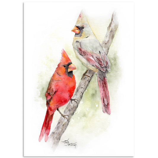 Moonlight & Grace - Northern Cardinals