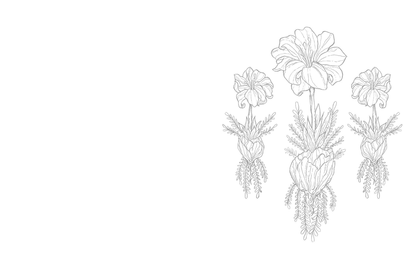 Schiffer Publishing - Kristy's Summer Cutting Garden: A Watercoloring Book