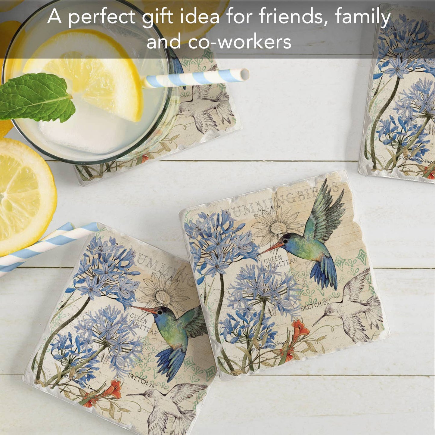 CounterArt/Highland Home/Thirstystone - "Hummingbird Study" 4 Pack Tumbled Tile Coasters