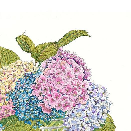 Vivid Cottage - Hydrangea Hues - card