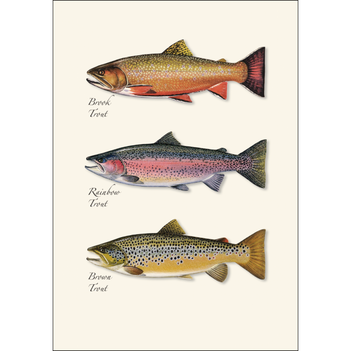 Earth Sky + Water - Trout Trio